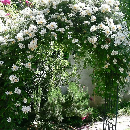 Gaestehaus Zwiebelturm 3* Kerken