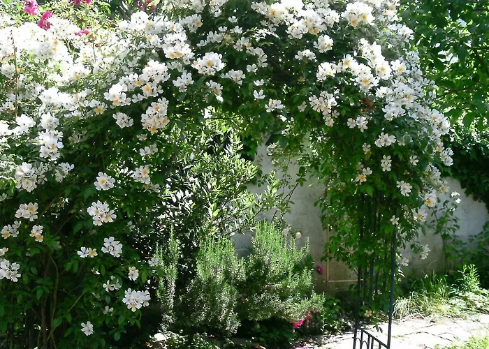 Gaestehaus Zwiebelturm 3* Kerken